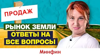 Рынок земли: за сколько можно будет купить с/х надел и сколько на нем заработать