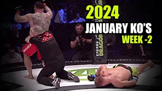 MMA & Boxing Knockouts I January 2024 Week 2