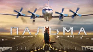 Пальма (2020) русский трейлер HD