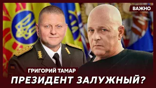 Офицер армии Израиля Тамар о выборах во время войны