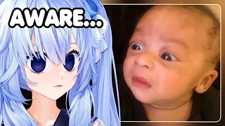 Bro is Becoming WISE | Mifuyu Reacts to Daily Dose of Internet