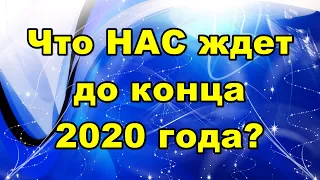 Что НАС ждет до конца 2020 года?