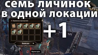 7 личинок в одном месте 3 акт Baldur's Gate 3