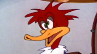 Woody Woodpecker | Smoked Hams | Woody Woodpecker Full Episode | Old Cartoons|Videos for Kids