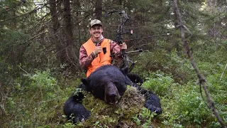 Chasse à l'ours à l’arc 2021