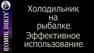 Холодильник на рыбалке.  Эффективное использование