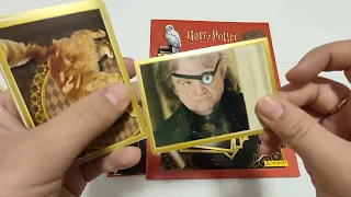 PANINI Harry Potter Le Manuel du Sorcier ура новый альбом)