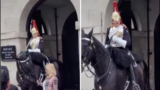 Londra, la turista tocca le redini del cavallo e la guardia della Regina le urla contro furiosa