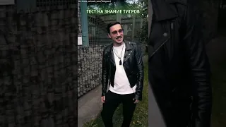 Дима Билан: Тест о тиграх