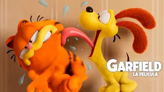 GARFIELD. Vive una aventura tan inesperada como perfecta. Exclusivamente en cines 1 de mayo.