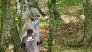 Хижина в лесу   Трейлер (дублированный) 1080p