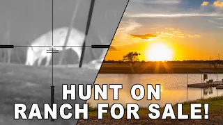 Ranch FOR SALE! Air Gun THERMAL Hog Hunting