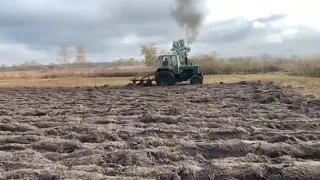 Осіння оранка молодого лісу ЮМЗ