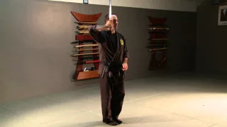 Katana no Kata, "Shohatto", Sword Form