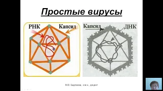 Общая микробиология (Бадлеева М.В.) - 4 лекция