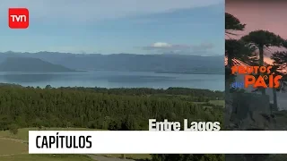 Entre Lagos | Frutos del país