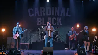 Cardinal Black - Rise Up (Live at The Memo)