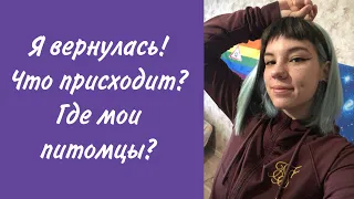 ВОЗВРАЩЕНИЕ НА ЮТУБ: ЧТО ИЗМЕНИЛОСЬ?