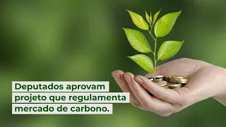 Deputados aprovam projeto que regulamenta mercado de carbono.