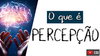 SISTEMA PERCEPTUAL: O que é Percepção? - Rogério Souza