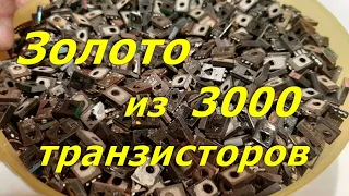 Золото из 3000 шт. транзисторов