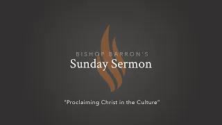 Proclaiming Christ in the Culture — Bishop Barron’s Sunday Sermon