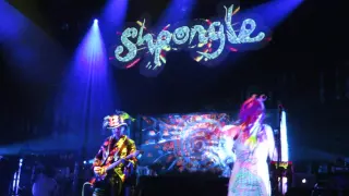 shpongle -I Am You Live In Japan 2014.