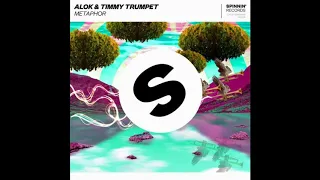 Alok, Timmy Trumpet   Metaphor Extended Mix Fresh EDM 2019 electro house edm music