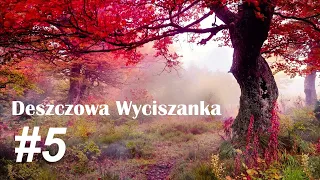 Relaksujący odgłos deszczu uspokaja i usypia w 10 minut - WYCISZANKA