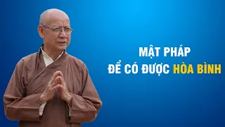 Mật pháp để có được hòa bình | Thầy Huyền Diệu