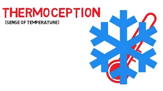 What is Thermoception? (temperature)