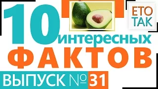 Интересные факты о СОЛИ, КОСТА-РИКА, АВАКАДО, ПАКОРИТЕЛИ ЭВЕРЕСТА... – Это Так