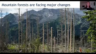 "Restoring mountain forests in the Berchtesgaden National Park" with Christina Dollinger