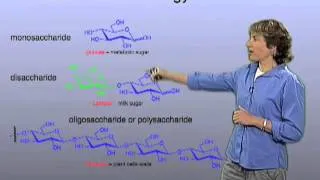 Glycans - Carolyn Bertozzi (Berkeley)