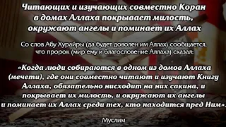 🎧Слушайте Коран - Нур в сердце, исчезновение  беспокойства, грусти и печали