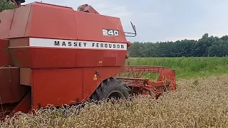 Жнива.Молотимо у баби пшеницю.Комбайн MASSEY FERGUSON 240. Будні села.