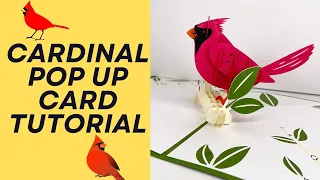 Cricut Design Space Cardinal Pop up card tutorial