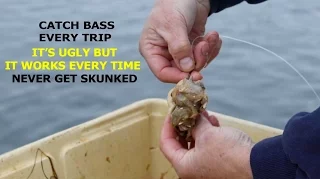 HOW TO CATCH STRIPED BASS-THE EASIEST WAY NEVER BEEN SKUNKED !!