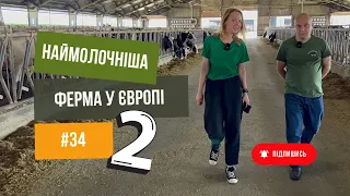 Наймолочніша 🐄 ферма у Європі -2 частина.  Розкажемо, як годують та доять корів 🐮