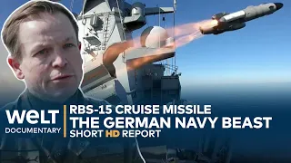 NAVY BEAST: The Cruise Missile RBS 15 MK3 of the German Bundesmarine | WELT Report