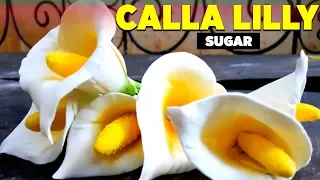 Calla Lilly | How to Make Sugar Calla Lilly | Quick and Easy Tutorials