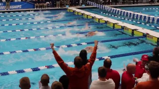 NC State Crushes NCAA Record In 800 Freestyle Relay