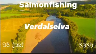 Salmon fishing in Norway/         Laksefiske i Verdalselva 2023