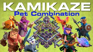 The strongest "Kamikaze pet combination"?! Compare with popular combinations | Clash of Clans
