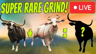 The Easiest Grind Ever??? The Super Rare Banteng Grind Begins! Call of the wild