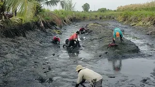 hầm cá bống tượng khủng