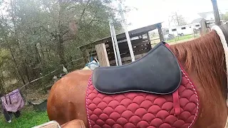 im back- with a new gopro !! - tack up and ride with me - riding general