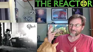 Reactor - Why This Album Is The Balls - Opeth - Damnation