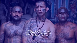 mara salvatrucha (MS-13)- самая жестокая банда США и латинской Америки