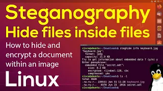 🧰 Hide files inside files | Using Steganography to encrypt a .doc within a .jpg 🛠️ Linux Tutorial